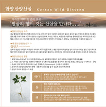 Load image into Gallery viewer, Wild Ginseng Anytime Liquid Sticks