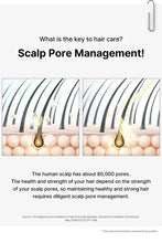 Load image into Gallery viewer, 두피타이트닝 탈모샴푸 완벽더블( 4 BOX) -Dr. Oracle Scalp Pore Control Shampoo 380 ml -2027/05/13-