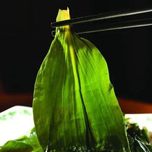 Load image into Gallery viewer, Wild Mountain Garlic Allium Victorialis Alpine Leek 'Victory Onion' Linne Myeongee