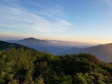 Load image into Gallery viewer, Jirisan Mt. Dora Bellflower Root Premium Extract Paste 150g