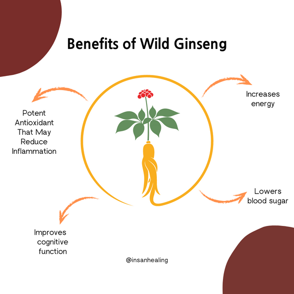 Top 4 benefits of Wild Ginseng💪🌿