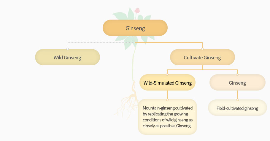 Hamyang Wild Ginseng 2021 Expo