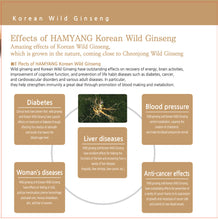 Load image into Gallery viewer, Wild Ginseng Anytime Liquid Sticks
