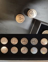 Load image into Gallery viewer, Wild Ginseng Gong Jin Dan-Premium Gongjin-Dan
