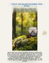 Load image into Gallery viewer, 국산 도라지로 만든 도라지청 (3병/CASE)
