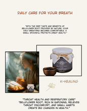 Load image into Gallery viewer, 국산 도라지로 만든 도라지청 (3병/CASE)
