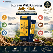 Load image into Gallery viewer, Korean Wild Ginseng Stick – Premium Korean Wild Ginseng Extract 25%, 10g × 30 Sticks

