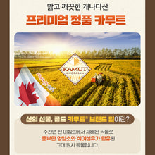 Load image into Gallery viewer, Gold Kamut Brand Wheat Grain Enzyme - Ideal for Flour, Pasta, Salads, Soups - High in Fiber &amp; Protein
